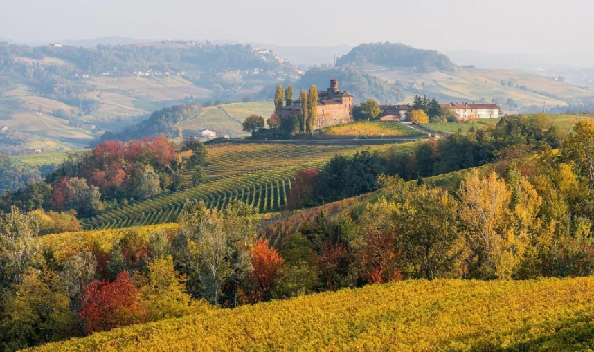 Vigneti delle Langhe in autunno